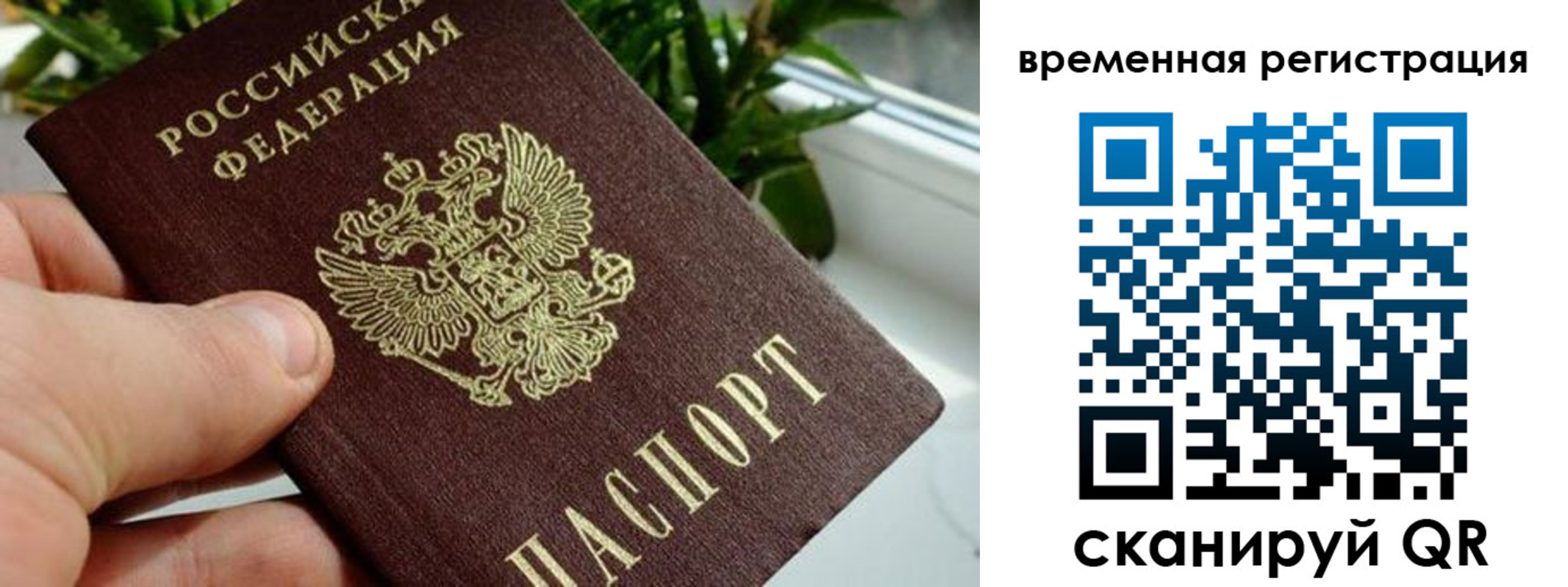 прописка поиск в Минеральных Водах